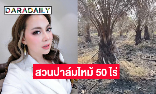 “บุ๋ม ปนัดดา” พูดไม่ออก เจอคนมักง่าย เผาไร่อ้อยลามลามสวนปาล์มไฟไหม้เกือบ 50 ไร่
