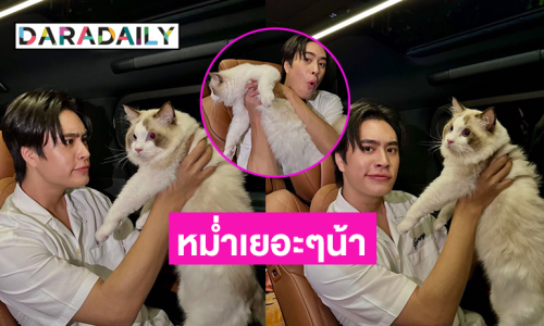 เบิร์ดเดย์ “ท่านลอร์ด” น้องแมวของซุปตาร์วัยรุ่น..โตแล้วหม่ำเยอะๆน้า