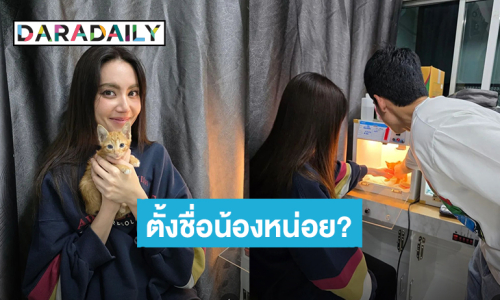 “ใหม่ ดาวิกา” เตรียมเลี้ยงลูกแมวตัวแรกในชีวิต วอนแฟนๆช่วยตั้งชื่อหน่อย?!