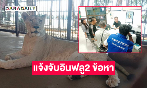 กรมอุทยานแจ้งจับอินฟลูเจ้าของสิงโตมเหสี 2 ข้อหา