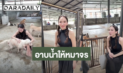 นางฟ้าบนดิน! “อั้ม พัชราภา” อาบน้ำดูแลสุนัขจรจัด กว่า 130 ตัว “เอ ศุภชัย” ลงคลิปสุดอบอุ่น