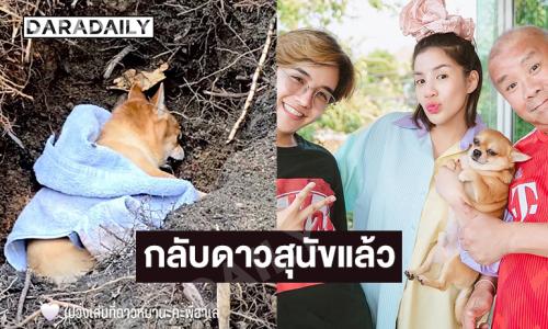 “น้องหมาฮาร์เลย์” ของ “ลุกซ์ ชาญวิทย์” กลับดาวสุนัขแล้ว