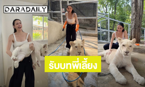 “มุกดา” รับบทพี่เลี้ยงเสือที่สวนสัตว์โบนันซ่าเขาใหญ่ น่ารักทั้งเสือ น่ารักทั้งคน!