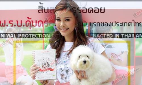 คนรักสัตว์เฮ! พ.ร.บ. คุ้มครองสัตว์ฉบับแรกของไทย มีผลบังคับใช้แล้ว