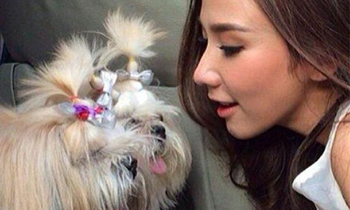 ทั้งรักและผูกพัน! "อั้ม" ทำบุญครบรอบวันจากไปของ "การ์ตูน" สุนัขสุดโปรด