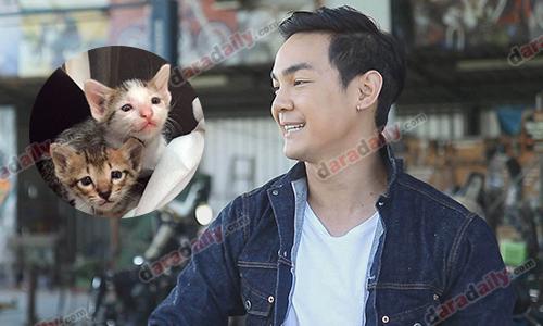 ชาวเน็ตแห่ชม “กิก” ยอมทุบกำแพงร้านเพื่อช่วยเหลือลูกแมว