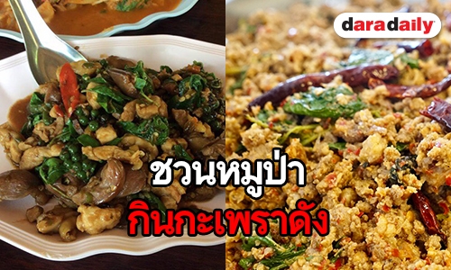 แนะนำร้านกะเพราอร่อย รับการกลับมาของทีมหมูป่า 