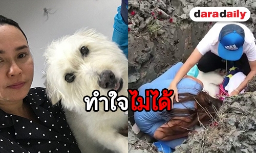 “ใหม่ เจริญปุระ” ร้องไห้หนัก หลัง “ตะโก้” สุนัขคู่ใจจากไป