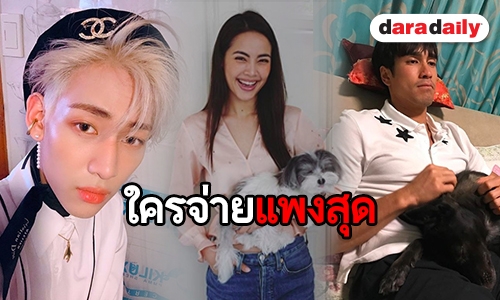 ถ้ากฎหมายขึ้นทะเบียนหมา-แมว ผ่าน เช็กด่วน! ซุป'ตาร์จะต้องเสียเงินคนละกี่บาท