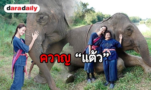 ​​​​​​​ซูมความน่ารัก “แต้ว” กับช้าง