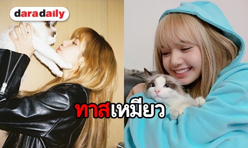 ฮอตทั้งคนทั้งแมว Lisa โพสต์รูปคู่ Luca ติดเทรนด์โลก