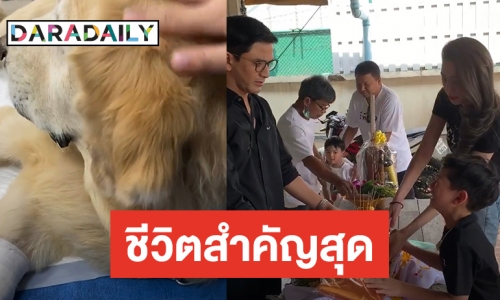 ​​​​​​​สุดเศร้า “น้องเภา” ทิ้งของเล่น อาลัย “พี่ลาบ” สุนัขสุดรัก