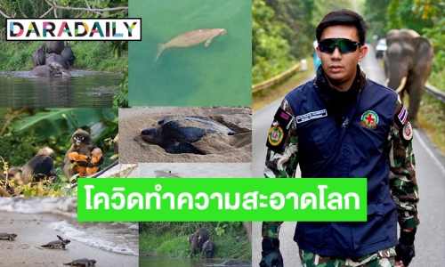 วิกฤตโควิดในมิติสิ่งแวดล้อม จากมุมมอง "หมอล็อต ภัทรพล"