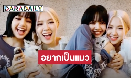 ถูกใจทาสแมว! “โรเซ่” โพสต์คลิปนี้ คู่ “ลิซ่า” คอมเมนต์-ไลค์ ไอจีระเบิด
