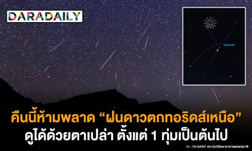 คืนนี้ห้ามพลาด “ฝนดาวตกทอริดส์เหนือ” ดูได้ด้วยตาเปล่า ตั้งแต่ 1 ทุ่มเป็นต้นไป