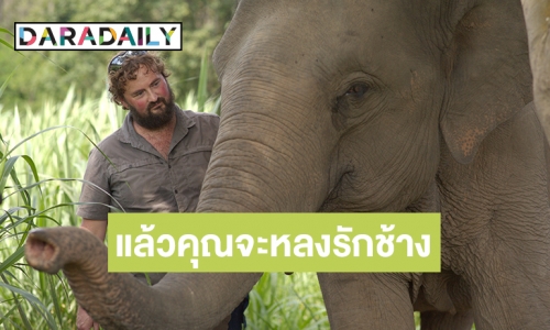 ชวนสัมผัสธรรมชาติ! “ทรูวิชั่นส์” ส่งสารคดี “The Elephant Hospital” ลงจอ