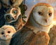 Legend of the Guardians: The Owls of Ga Hoole