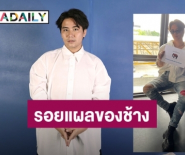 “ชีวิน Y-Destiny” ขอร้อง! เลิกสนับสนุนการใช้ช้างเพื่อความบันเทิง