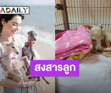 “ใหม่ ดาวิกา” สงสาร “นับดาว” น้องสุนัขสุดที่รักบาดเจ็บ แฟนคลับแห่ให้กำลังใจ