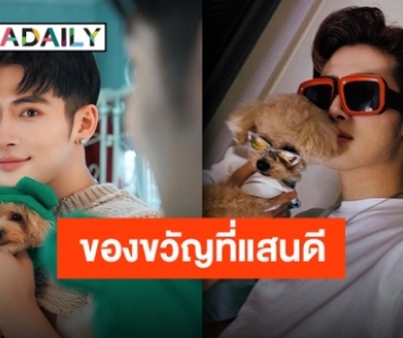 อิจฉาน้องหมาได้ไหม “ริกิมารุ” ยกทั้งใจให้ “โพชิมารุ” ครบรอบวันเกิด 2 ขวบ