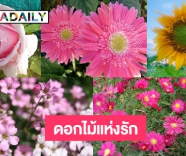 10 ความหมายของดอกไม้แห่งรัก