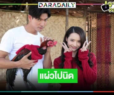 เกิดอะไรขึ้น! “เขยบ้านไร่ สะใภ้ไฮโซ” ความปังลดวูบ