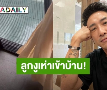 ขนลุกมาก! “บอย พิษณุ” เจอลูกงูเห่าเข้าบ้าน ขอวิธีหารังด่วน