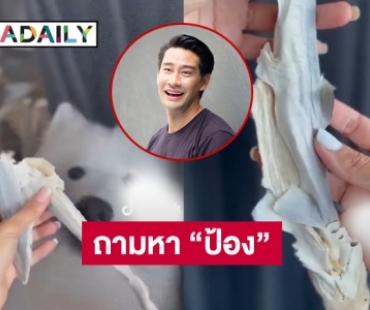 แชร์ว่อนฉลามวัยอ่อนเป็นอาหารหมา เม้นท์สนั่นถามหา “ป้อง ณวัฒน์” 