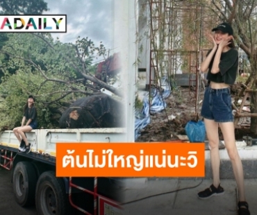 ควบคุมทุกขั้นตอน “ใบเฟิร์น พิมพ์ชนก” ลงต้นไม้ใหญ่เป็นสิริมงคลแก่บ้าน