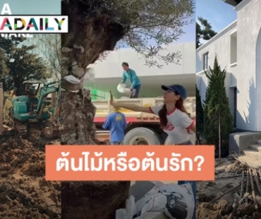 อลังการมาก! บ้านสุดหรู “ใบเฟิร์น” เริ่มลงต้นไม้แล้ว งานนี้ชาวเน็ตหูดีเสียงในคลิปคุ้นๆ “นาย ณภัทร”