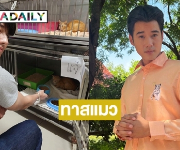 ทาสแมวน้องใหม่ “มาริโอ้ เมาเร่อ” รับเลี้ยงแมวจรจิ๋วกับแจ๋ว