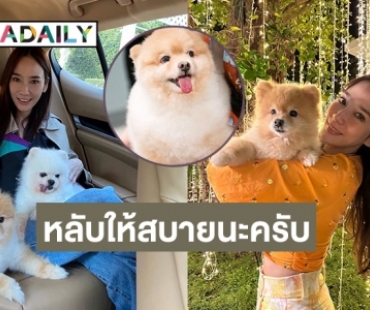 หลับให้สบายนะครับ! “พี่ปอมปอม” ของ “อั้ม พัชราภา” เดินทางไปดาวสุนัขแล้ว