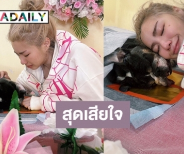 น้องหมาแสนรักของ “วันเดอร์เฟรม” เดินทางไกลแล้ว