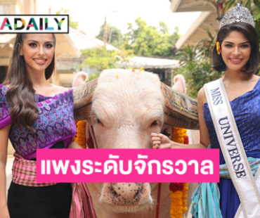 ตำนานความแพงระดับจักรวาล “เชย์นิส -แอนโทเนีย” ร่วมเฟรม “โก้ เมืองเพชร”  ควายเผือก 18 ล้าน 