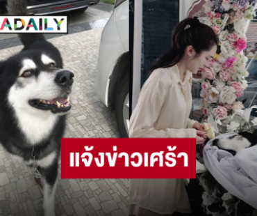 “ปันปัน สุทัตตา” สูญเสียเพื่อนร่วมชีวิตที่อยู่กันมา 13 ปี “น้องลูกหมี” กลับดาวหมาแล้ว