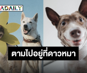 “Gluta Story” ประกาศข่าวเศร้าอีกครั้ง “น้องกอลลั่ม” กลับดาวหมาแล้ว