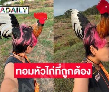ไลก์ 390Kในคืนเดียว “ไก่บักโจ้น” ทอมหัวไก่ต้องผงกหัว... ลุกกะลุกเด้อ