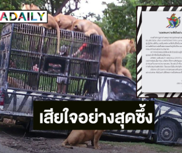 “ซาฟารีเวิลด์” แถลงเสียใจ ต่อพนักงานเสียชีวิต ดูแลครอบครัวเต็มที่ ยัน! สิงโตอยู่ในสภาวะปกติ