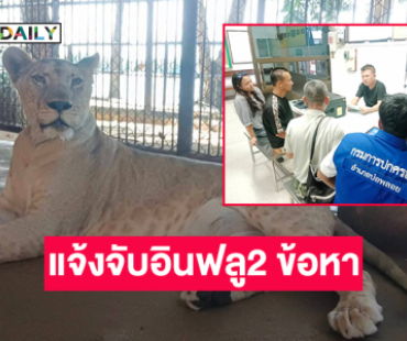 กรมอุทยานแจ้งจับอินฟลูเจ้าของสิงโตมเหสี 2 ข้อหา