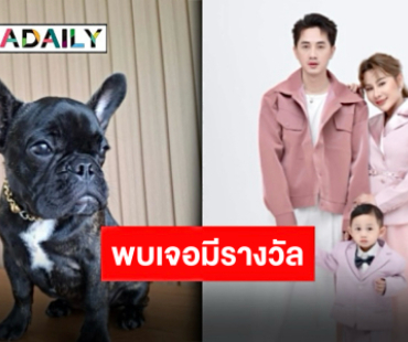ประกาศตามหา “น้องสร้อยทอง” น้องหมาสุดรักของ “อ๊อด-ฝ้าย ศรรามน้ำเพชร” ใครพบแจ้งด่วนมีรางวัลให้