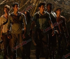 "The Maze Runner" จากหนังสือชุดสุดฮิตสู่ภาพยนตร์จอยักษ์สุดอลังการ