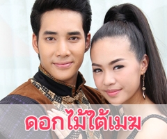 เรื่องย่อละคร "ดอกไม้ใต้เมฆ"