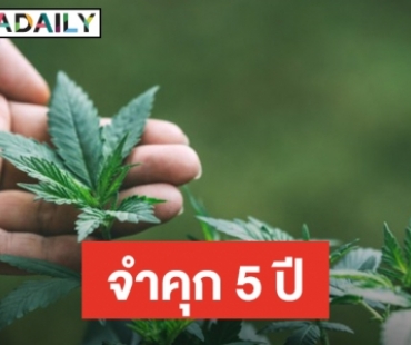 อย.แจงครอบครองเยลลี่กัญชาจำคุก 5 ปี