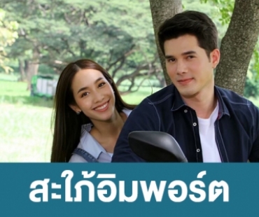 เรื่องย่อละคร “สะใภ้อิมพอร์ต”