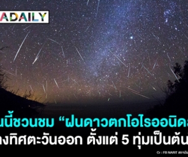 คืนนี้ชวนชม “ฝนดาวตกโอไรออนิดส์” ทางทิศตะวันออก ตั้งแต่ 5 ทุ่มเป็นต้นไป