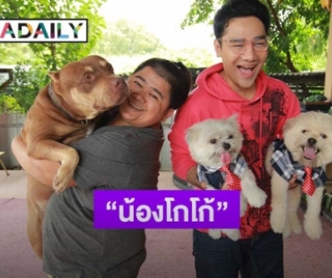 เปิดบ้าน "โก๊ะตี๋" แนะนำเลี้ยง "พิทบลู" ยังไงให้เป็น "ชิวาว่า" 