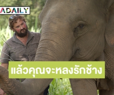 ชวนสัมผัสธรรมชาติ! “ทรูวิชั่นส์” ส่งสารคดี “The Elephant Hospital” ลงจอ